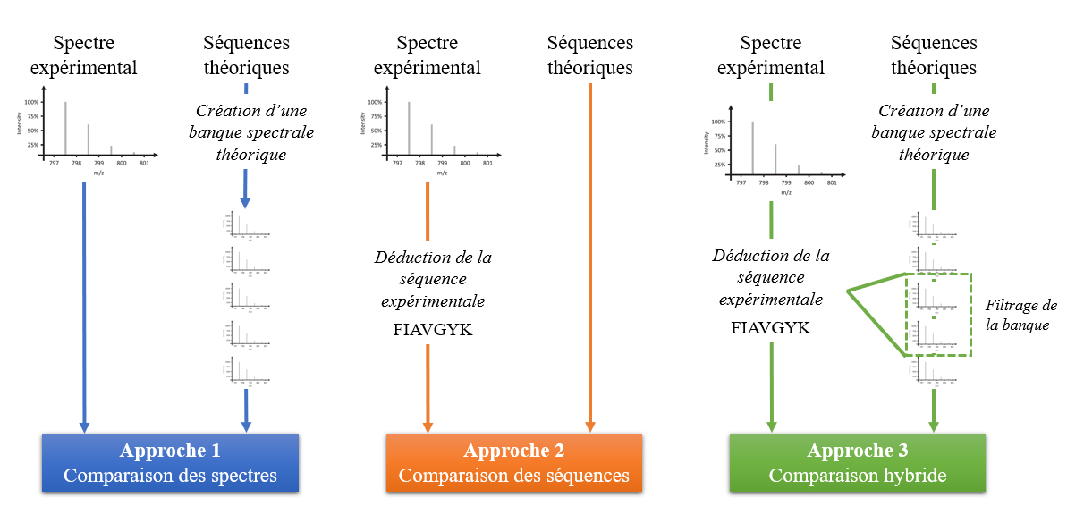 Figure 11 – Résumé des 3 approches d'identification peptides : par comparaison des spectres, par comparaison des séquences et par comparaison des spectres après une sous-sélection par la séquence.
