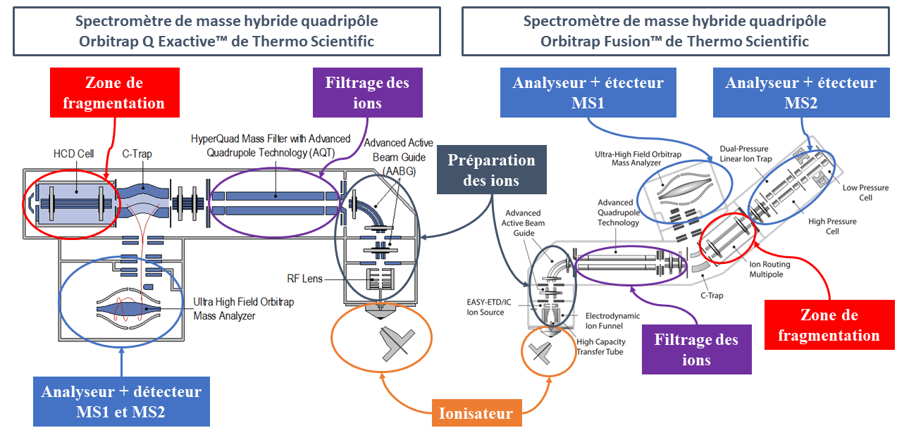 Figure 4 - Différents composants des appareils de spectrométries disponibles sur la plateforme de protéomique de l’Institut Jacques Monod.